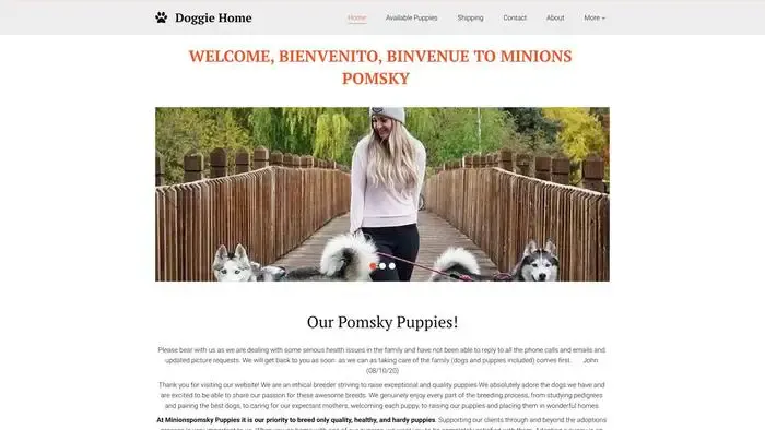 Screenshot of
