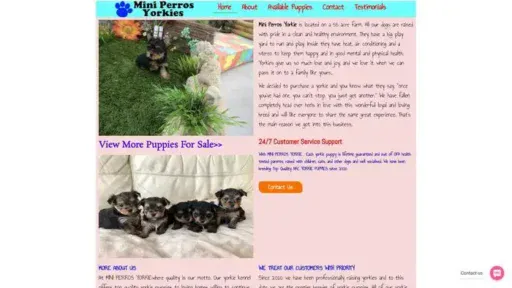Screenshot of