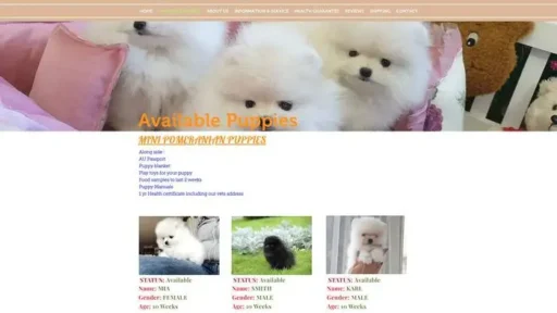 Screenshot of
