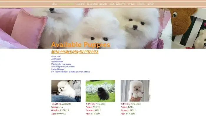 Screenshot of