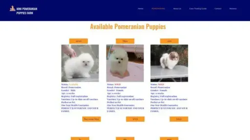 Screenshot of