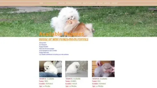 Screenshot of