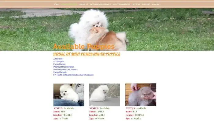 Screenshot of