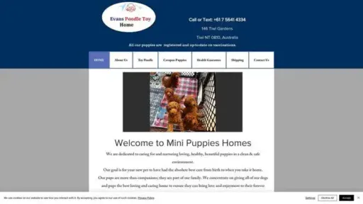 Screenshot of