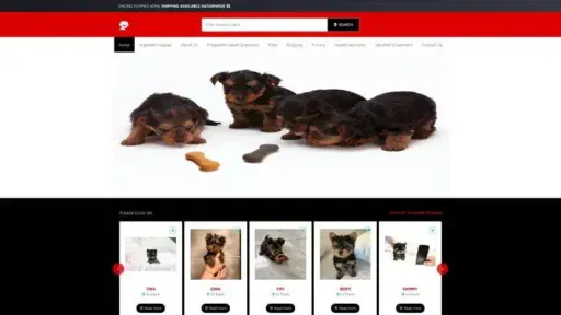 Screenshot of