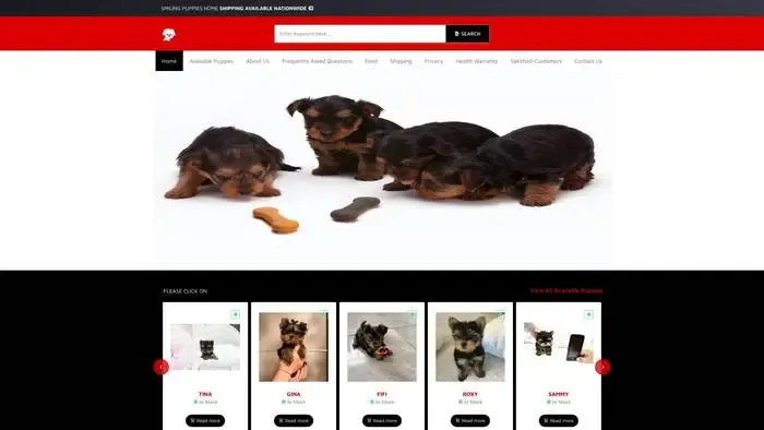 Screenshot of