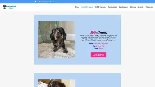 Screenshot of