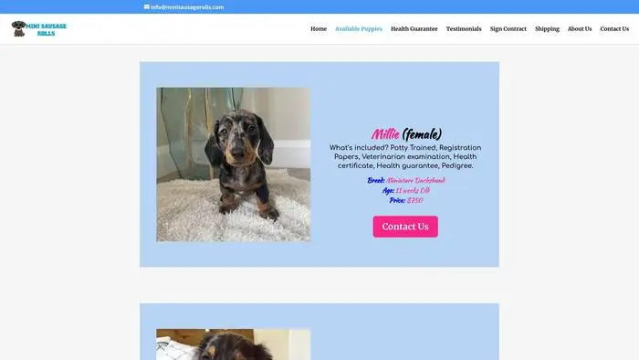 Screenshot of