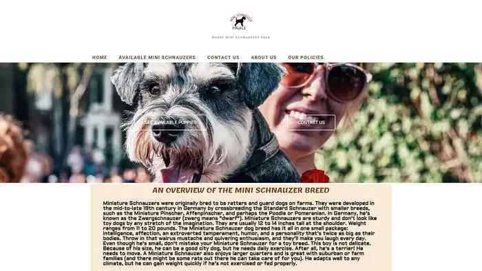Screenshot of