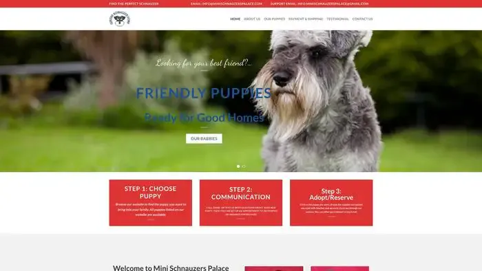 Screenshot of