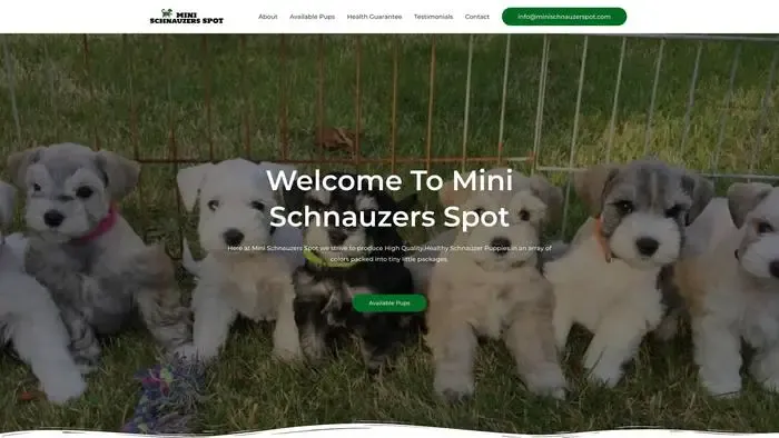 Screenshot of