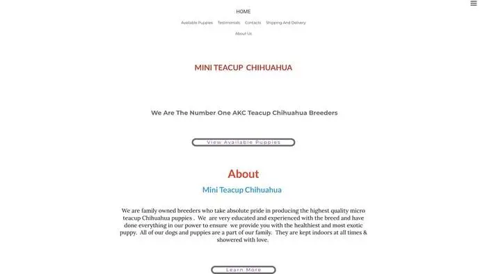 Screenshot of