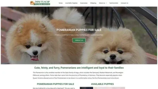 Screenshot of