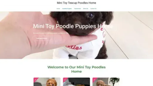 Screenshot of