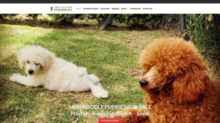 Screenshot of