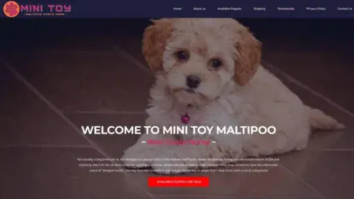 Screenshot of