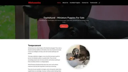 Screenshot of