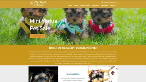 Screenshot of