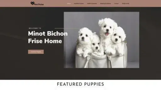 Screenshot of