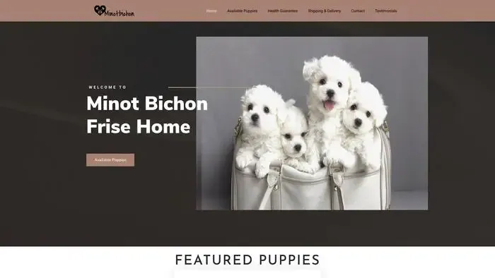 Screenshot of