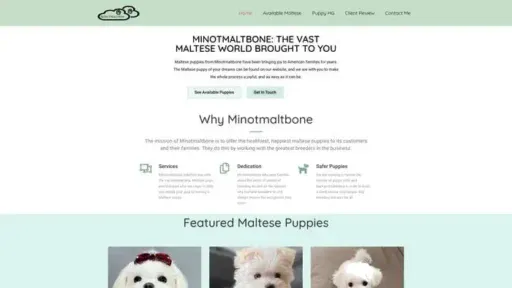 Screenshot of