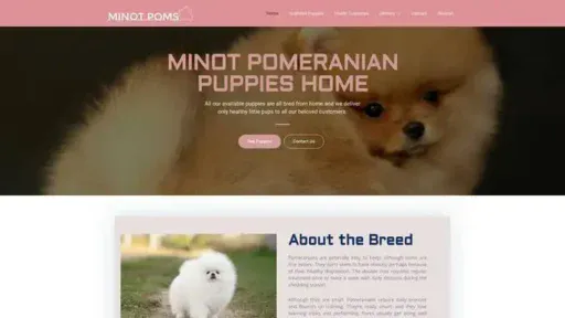 Screenshot of