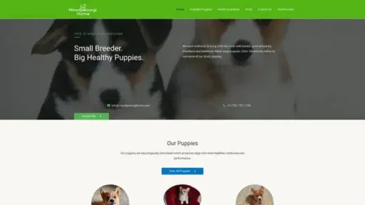 Screenshot of