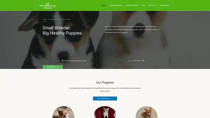 Screenshot of