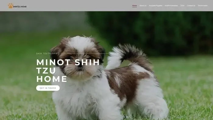 Screenshot of