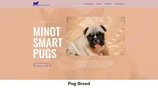 Screenshot of