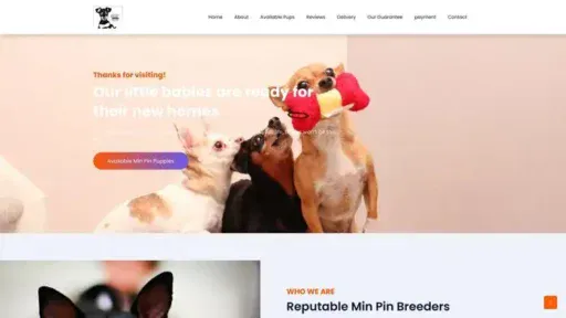 Screenshot of