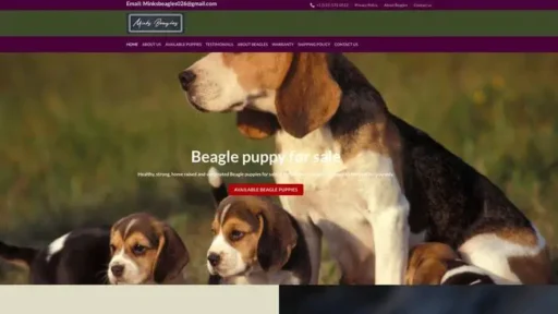 Screenshot of