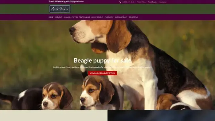 Screenshot of