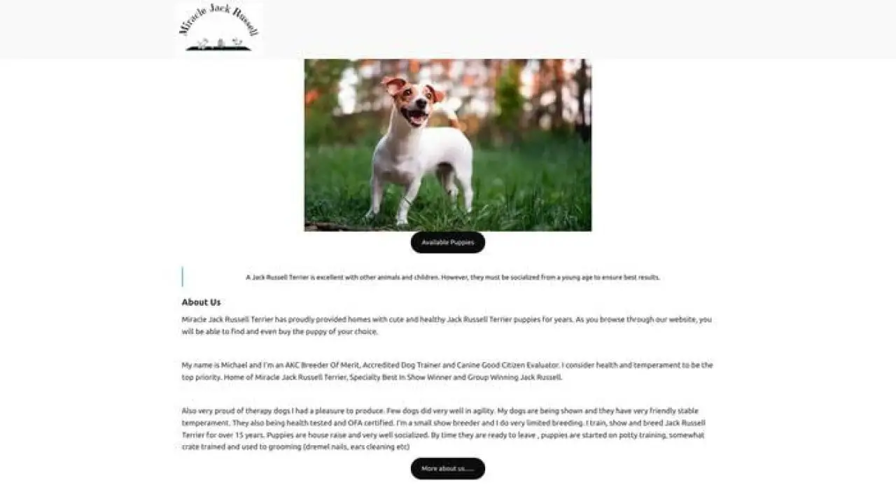 Screenshot of||