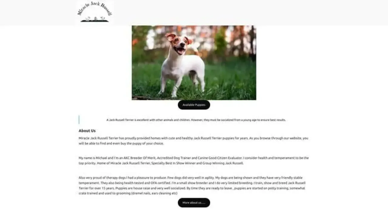 Miraclejackrussell