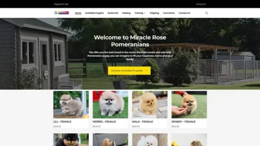 Screenshot of