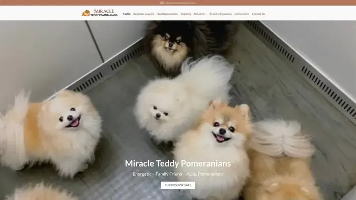 Screenshot of