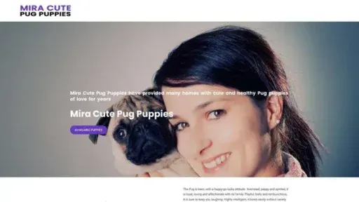 Screenshot of