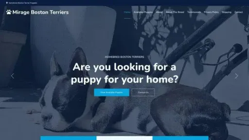 Screenshot of
