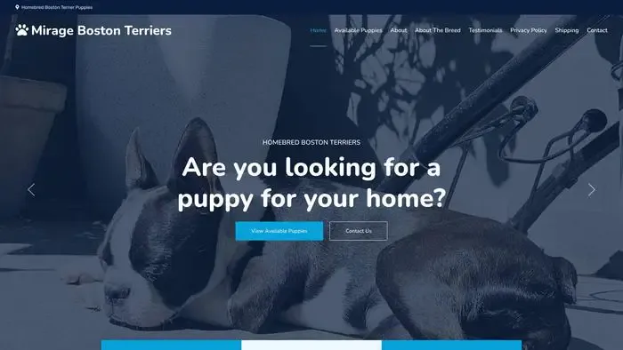 Screenshot of