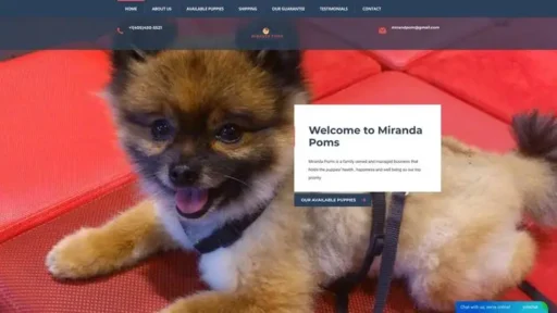 Screenshot of