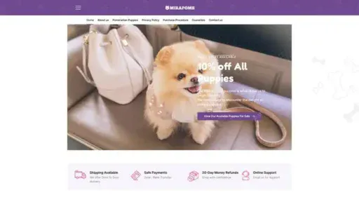 Screenshot of