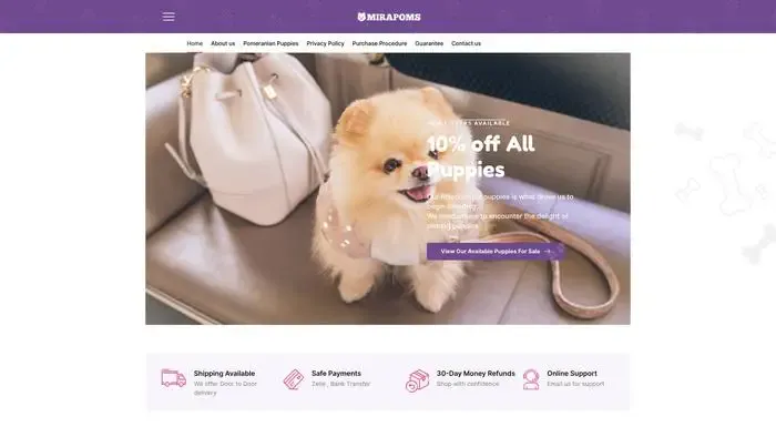 Screenshot of