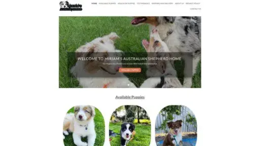 Screenshot of