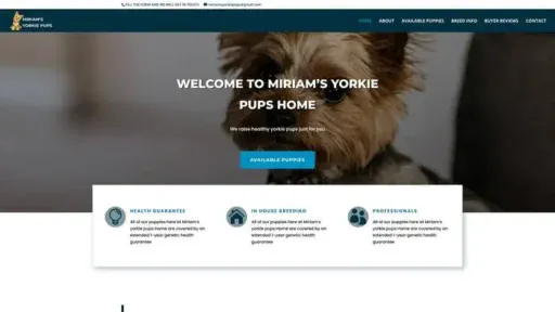 Screenshot of