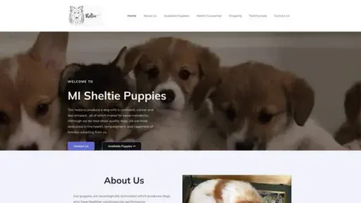 Screenshot of