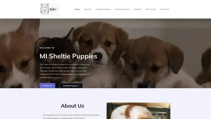 Screenshot of