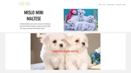 Screenshot of