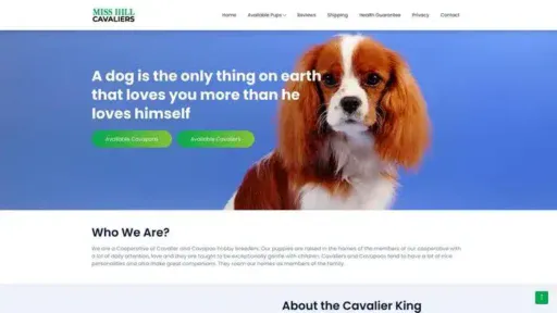 Screenshot of