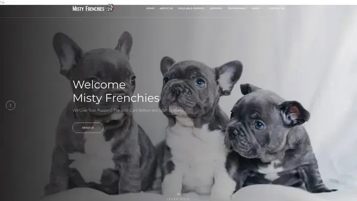 Screenshot of